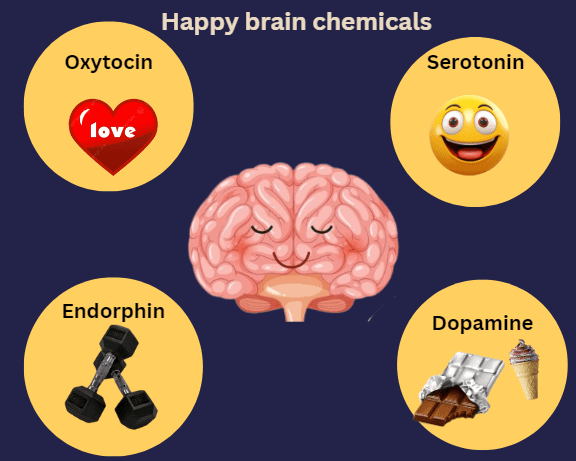 Hapy brain chemicals